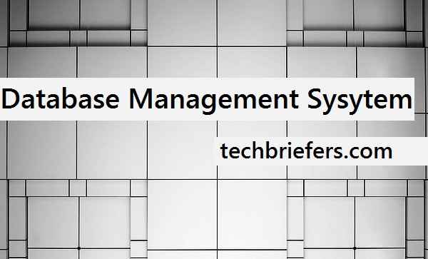 Database Management System (DBMS)