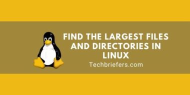 Find The Largest Files And Directories In Linux