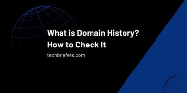 What is Domain History? Definition and How to Check It