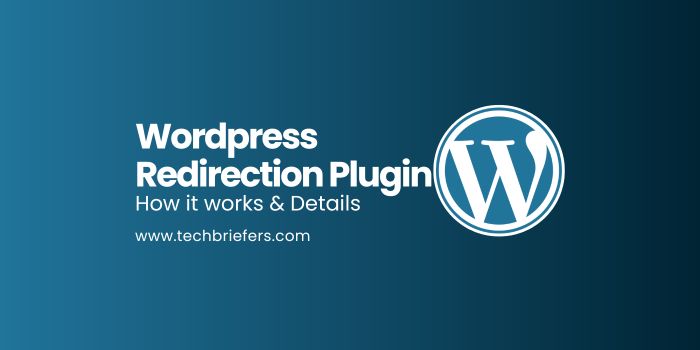 WordPress Redirection Plugin: How it works & Details